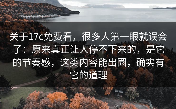 关于17c免费看，很多人第一眼就误会了：原来真正让人停不下来的，是它的节奏感，这类内容能出圈，确实有它的道理