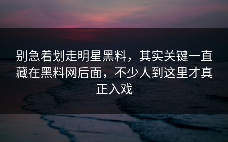 别急着划走明星黑料，其实关键一直藏在黑料网后面，不少人到这里才真正入戏