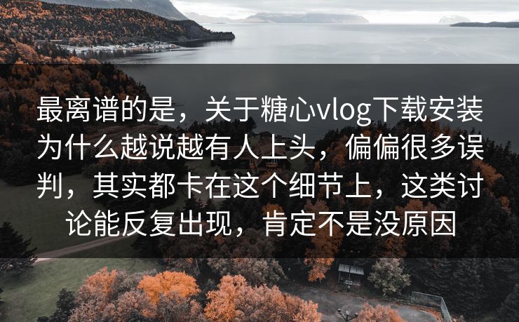 最离谱的是，关于糖心vlog下载安装为什么越说越有人上头，偏偏很多误判，其实都卡在这个细节上，这类讨论能反复出现，肯定不是没原因