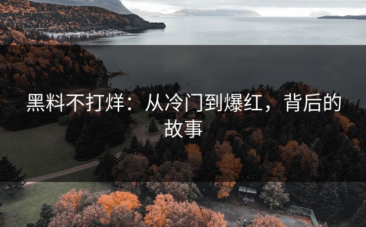黑料不打烊：从冷门到爆红，背后的故事