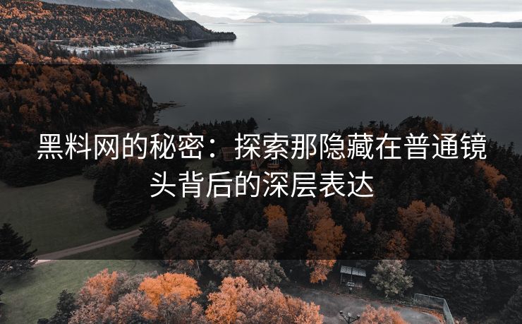 黑料网的秘密：探索那隐藏在普通镜头背后的深层表达