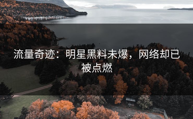 流量奇迹：明星黑料未爆，网络却已被点燃