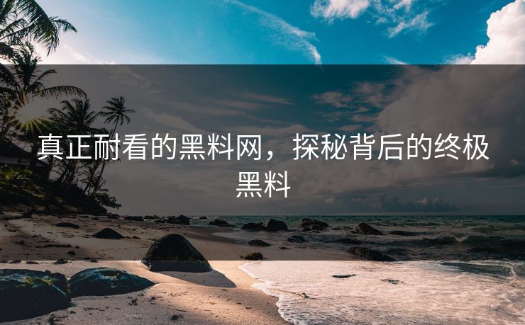真正耐看的黑料网，探秘背后的终极黑料