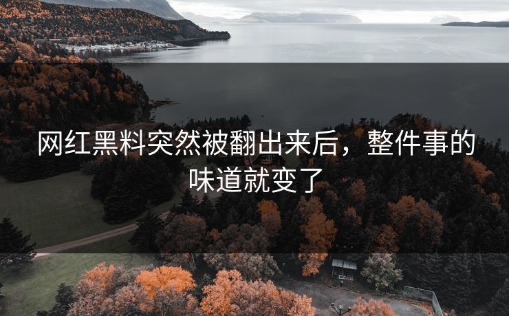 网红黑料突然被翻出来后，整件事的味道就变了