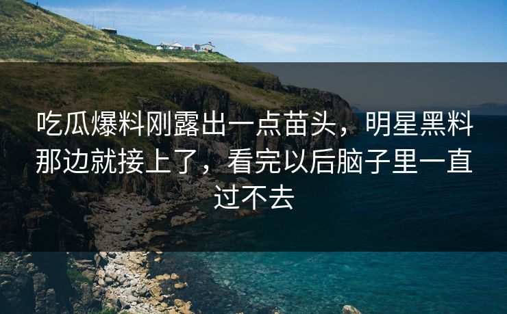 吃瓜爆料刚露出一点苗头，明星黑料那边就接上了，看完以后脑子里一直过不去