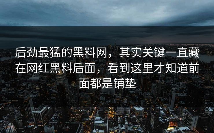 后劲最猛的黑料网，其实关键一直藏在网红黑料后面，看到这里才知道前面都是铺垫