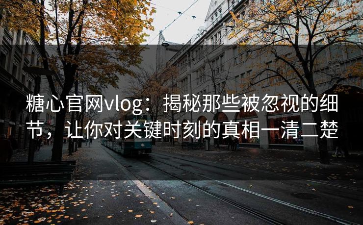 糖心官网vlog：揭秘那些被忽视的细节，让你对关键时刻的真相一清二楚