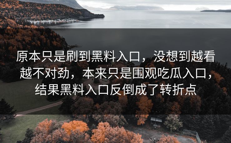 原本只是刷到黑料入口，没想到越看越不对劲，本来只是围观吃瓜入口，结果黑料入口反倒成了转折点